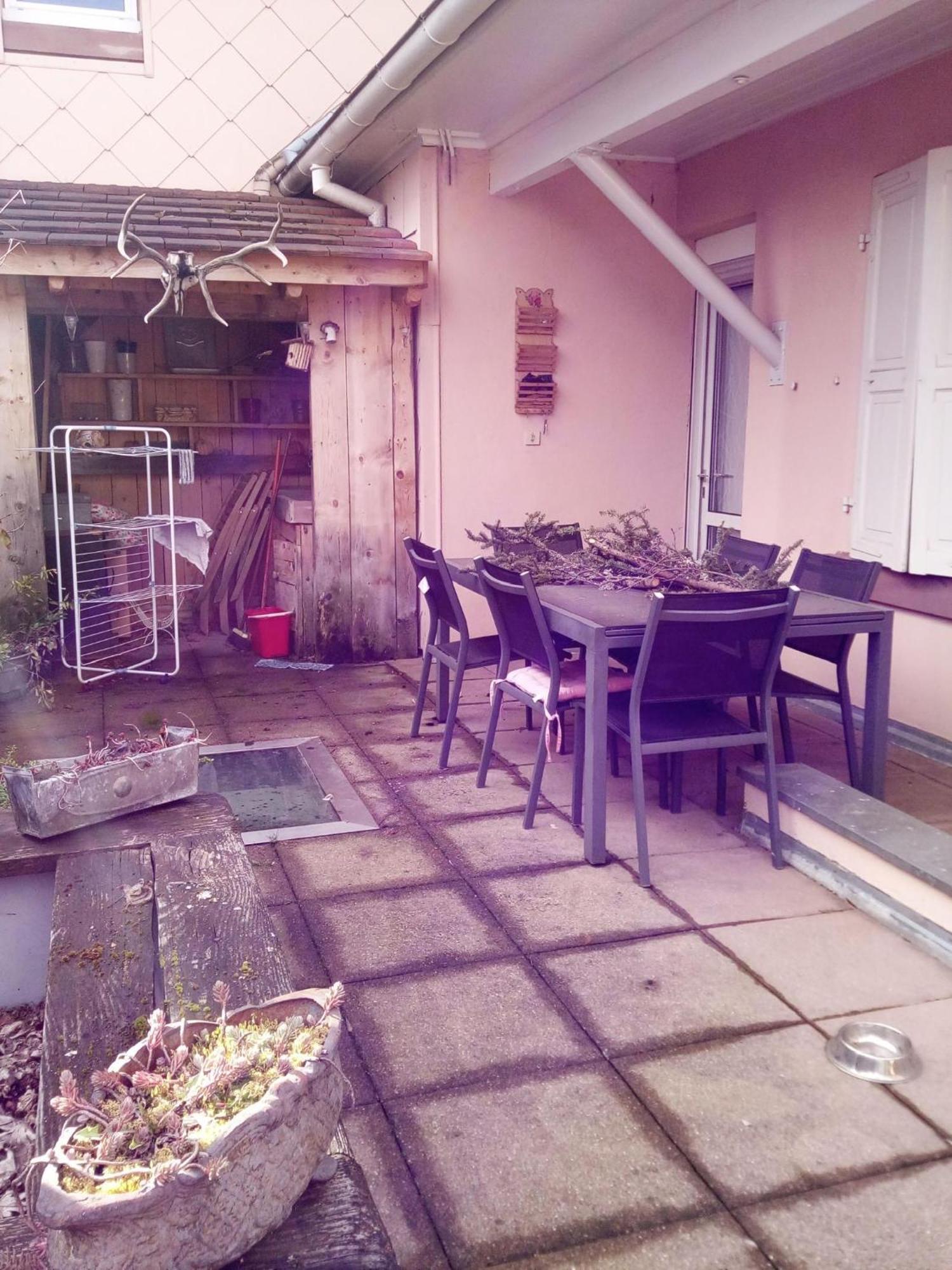 "Cote Nature", Appartement Cosy Au Coeur De Munster Munster  Exterior photo
