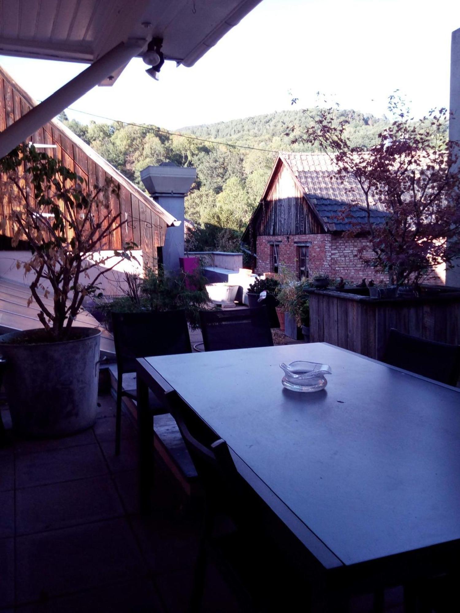 "Cote Nature", Appartement Cosy Au Coeur De Munster Munster  Exterior photo